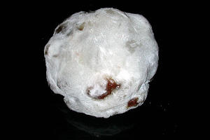 raisin-daifuku